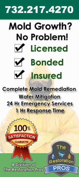 New Jersey Mold Remediation Contractor